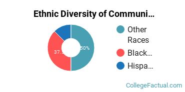 Ethnic Diversity of Communications Technologies & Support Majors at Academy of Art University