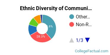Ethnic Diversity of Communications Technologies & Support Majors at Academy of Art University