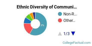 Ethnic Diversity of Communications Technologies & Support Majors at Academy of Art University