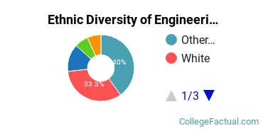 Ethnic Diversity of Engineering Technologies Majors at Academy of Art University