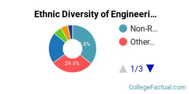 Ethnic Diversity of Engineering Technologies Majors at Academy of Art University