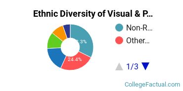 Ethnic Diversity of Visual & Performing Arts Majors at Academy of Art University