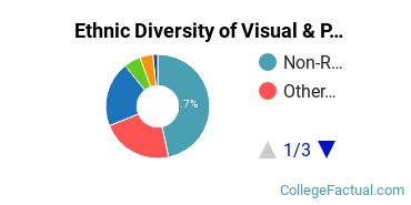 Ethnic Diversity of Visual & Performing Arts Majors at Academy of Art University