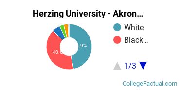 Herzing Akron Undergraduate Racial-Ethnic Diversity Pie Chart
