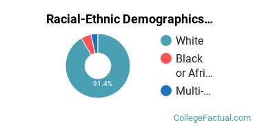 Racial-Ethnic Demographics of Herzing Akron Faculty
