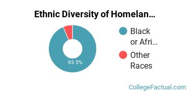 Ethnic Diversity of Homeland Security, Law Enforcement & Firefighting Majors at Alabama A & M University