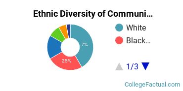 Ethnic Diversity of Communication & Journalism Majors at Albion College