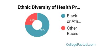 Ethnic Diversity of Health Professions Majors at American InterContinental University - Houston