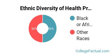 Ethnic Diversity of Health Professions Majors at American InterContinental University - Houston