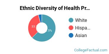 Ethnic Diversity of Health Professions Majors at American Medical Sciences Center