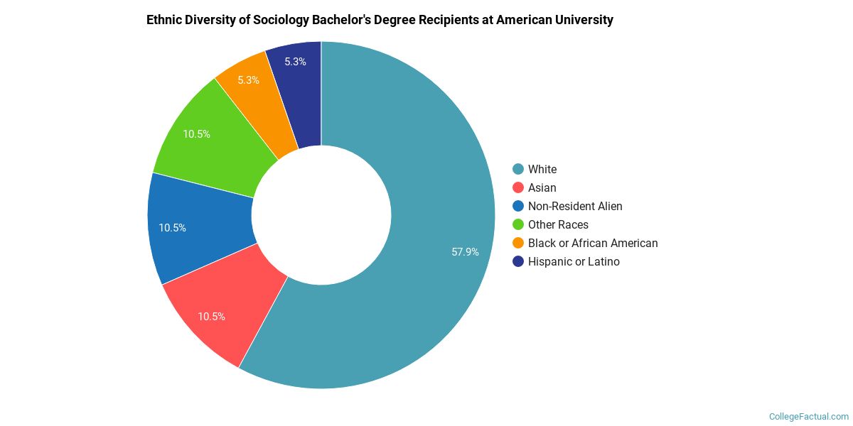 The Sociology Major At American University College Factual