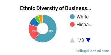 Ethnic Diversity of Business Administration & Management Majors at Anderson University Indiana