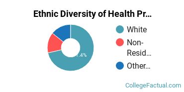 Ethnic Diversity of Health Professions Majors at Anderson University Indiana