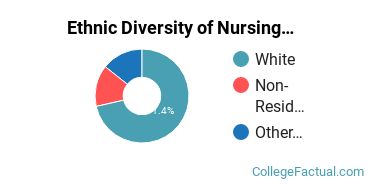 Ethnic Diversity of Nursing Majors at Anderson University Indiana