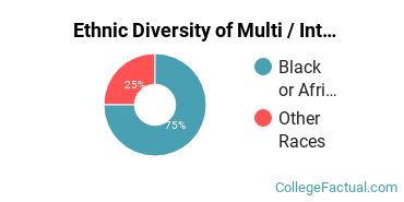 Ethnic Diversity of Multi / Interdisciplinary Studies Majors at Andrews University