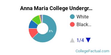 Anna Maria Undergraduate Racial-Ethnic Diversity Pie Chart