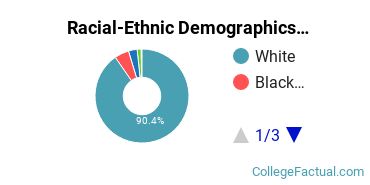 Racial-Ethnic Demographics of Anna Maria Faculty
