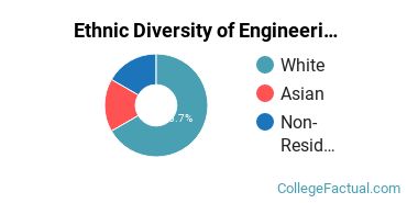 Ethnic Diversity of Engineering Majors at Anoka-Ramsey Community College