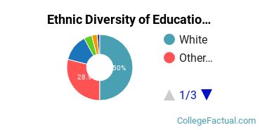 Ethnic Diversity of Education Majors at Arcadia University