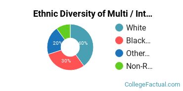 Ethnic Diversity of Multi / Interdisciplinary Studies Majors at Arcadia University