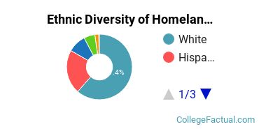 Ethnic Diversity of Homeland Security, Law Enforcement & Firefighting Majors at Arizona State University - Skysong