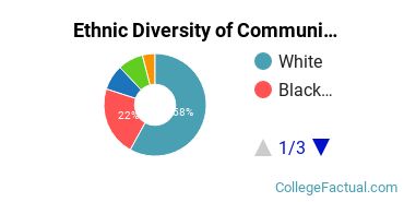 Ethnic Diversity of Communication & Journalism Majors at Arkansas State University - Main Campus