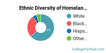 Ethnic Diversity of Homeland Security, Law Enforcement & Firefighting Majors at Arkansas State University - Main Campus