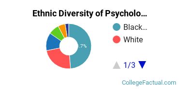 Ethnic Diversity of Psychology Majors at Point University