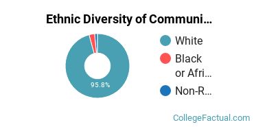 Ethnic Diversity of Communication Sciences Majors at Auburn University