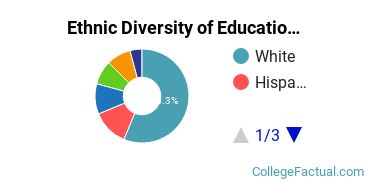 Ethnic Diversity of Education Majors at Augsburg University