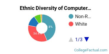 Ethnic Diversity of Computer & Information Sciences Majors at Austin Peay State University