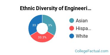 Ethnic Diversity of Engineering Technologies Majors at Austin Peay State University