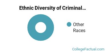 Ethnic Diversity of Criminal Justice & Corrections Majors at Bacone College