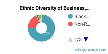 Ethnic Diversity of Business, Management & Marketing Majors at Baltimore City Community College