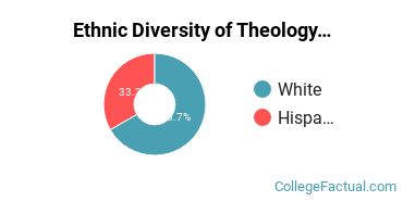 Ethnic Diversity of Theology & Religious Vocations (Other) Majors at Baptist Missionary Association Theological Seminary