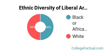 Ethnic Diversity of Liberal Arts / Sciences & Humanities Majors at Barclay College