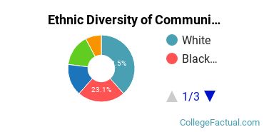 Ethnic Diversity of Communication & Journalism Majors at Barton College