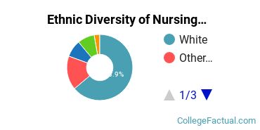 Ethnic Diversity of Nursing Majors at Bay State College