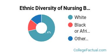 Ethnic Diversity of Nursing Majors at Bay State College