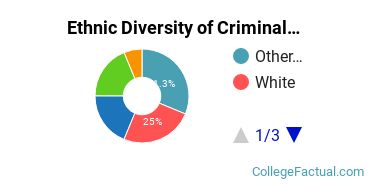 Ethnic Diversity of Criminal Justice & Corrections Majors at Bay State College