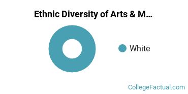 Ethnic Diversity of Arts & Media Management Majors at Bay State College