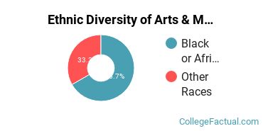 Ethnic Diversity of Arts & Media Management Majors at Bay State College