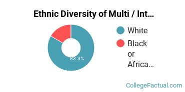 Ethnic Diversity of Multi / Interdisciplinary Studies Majors at Bellarmine University