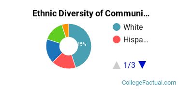 Ethnic Diversity of Communication & Journalism Majors at Bellevue University