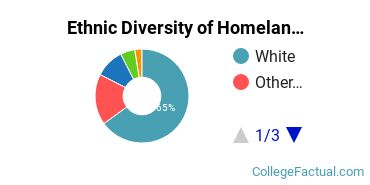Ethnic Diversity of Homeland Security, Law Enforcement & Firefighting Majors at Bellevue University