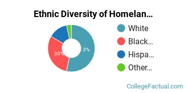 Ethnic Diversity of Homeland Security, Law Enforcement & Firefighting Majors at Bellevue University