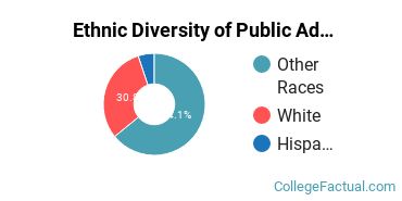 Ethnic Diversity of Public Administration & Social Service Majors at Bellevue University