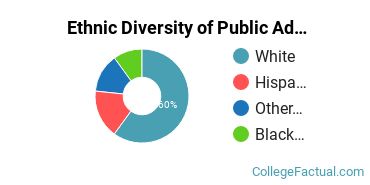 Ethnic Diversity of Public Administration & Social Service Majors at Bellevue University