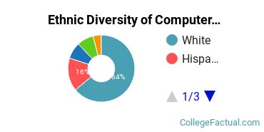 Ethnic Diversity of Computer Systems Networking Majors at Bellingham Technical College
