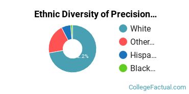 Ethnic Diversity of Precision Production Majors at Bellingham Technical College